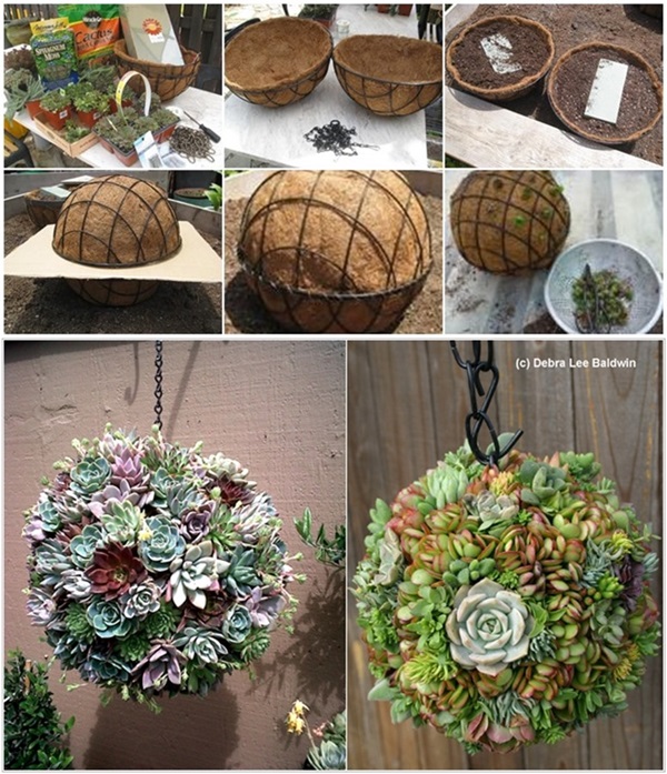 DIY Succulent Kissing Ball