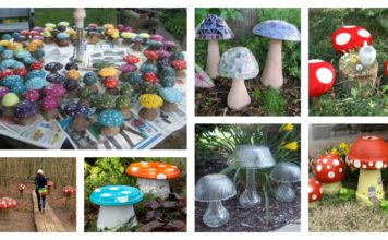 Garden Creative Mushroom Projects