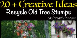 Recycle Old Tree Stump Ideas