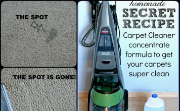 Homemade Carpet Cleaning Solution