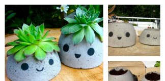 DIY Cute Concrete Planter