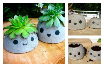 DIY Cute Concrete Planter