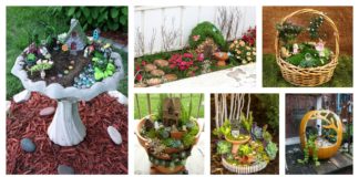 8 Amazing Miniature Fairy Garden DIY Ideas