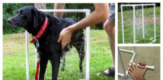 DIY Custom Dog Washer Out of PVC Piping (Video)