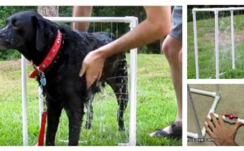 DIY Custom Dog Washer Out of PVC Piping (Video)