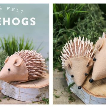 DIY Hedgehog Craft for Kids