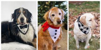 Dog Bandana Free Crochet Pattern