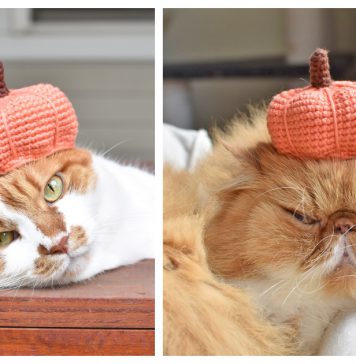 Pumpkin Hat For Pets Free Crochet Pattern