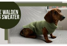 The Walden Dog Sweater Free Crochet Pattern