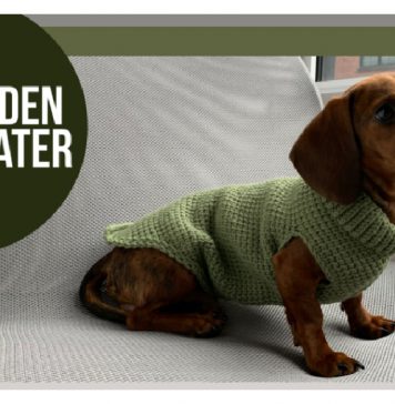 The Walden Dog Sweater Free Crochet Pattern