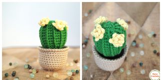 Barrel cactus Amigurumi Free Crochet Pattern