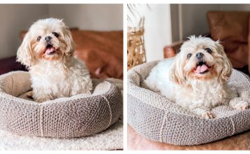 Modern Pet Dog Bed Free Crochet Pattern