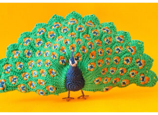 Realistic Peacock Amigurumi Crochet Pattern